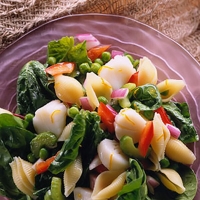 Image of Pasta Salad With Sea Scallops Recipe, Group Recipes