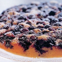 Image of Blueberry Crunch Cake Recipe, Group Recipes