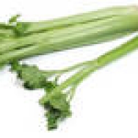 Image of Celery Casserole Recipe, Group Recipes