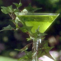 Image of Apple Martini Recipe, Group Recipes