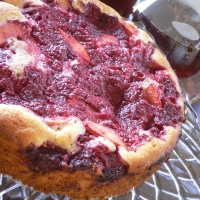 Summer Fruit Cake Recipe