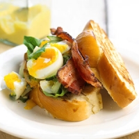 Image of Beautiful Bacon N Egg Salad Sandwiches Recipe, Group Recipes