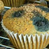 Image of Gluten Free Soy Free Vegan Blueberry Cornmeal Muffins Recipe, Group Recipes
