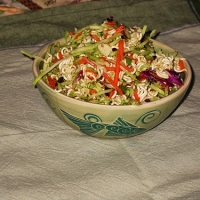 Image of Crunchy Oriental Salad Recipe, Group Recipes