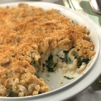 Image of Updated Mac Amp Cheese Recipe, Group Recipes
