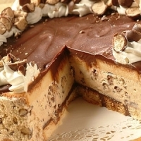Frozen Chocolate-Covered Cappuccino Crunch Cake Recipe