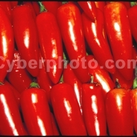 Image of Chicken And Peppers In Vinegar Sauce Recipe, Group Recipes