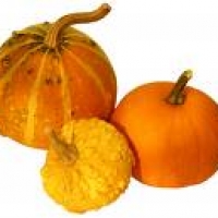Image of Pumpkin Soup Recipe, Group Recipes