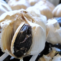 Image of Aged Black Garlic Recipe, Group Recipes