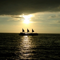 Image of ~ Sea Food ~ Recipe, Group Recipes