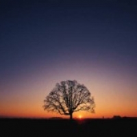 Image of ~ Parable ~ Recipe, Group Recipes