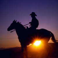 openrange